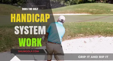 Does the Golf Handicap System Work? Unraveling Its Effectiveness and Fairness