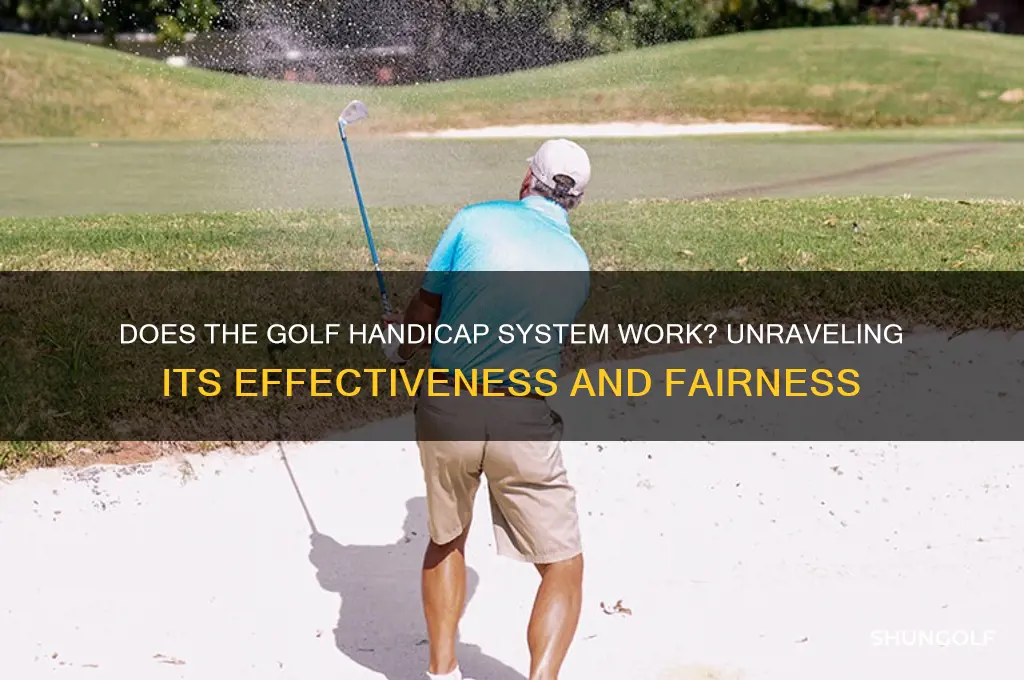does the golf handicap system work