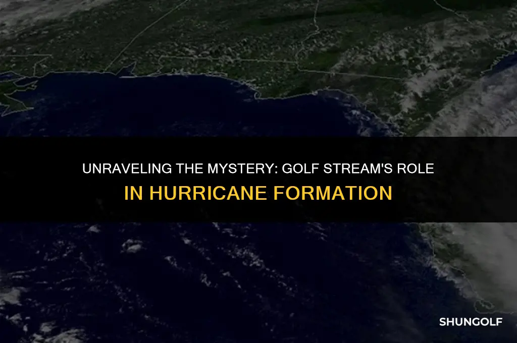 does the golf stream start hurricanes