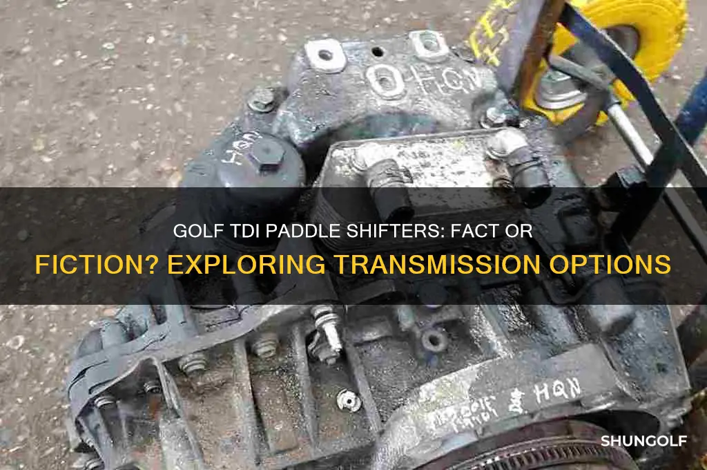 does the golf tdi have paddle shifters