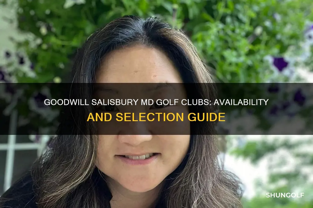 does the goodwill salisbury md have golf clubs