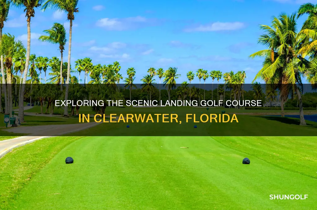 does the landing golf course clearwater fl