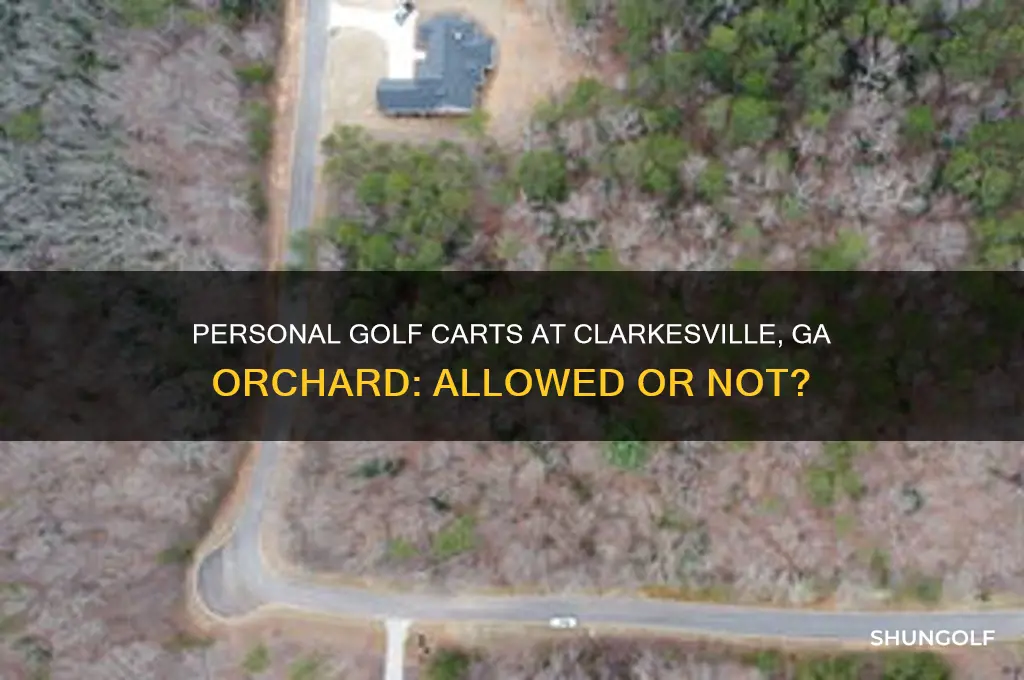 does the orchard in clarkesville ga allow personal golf carts