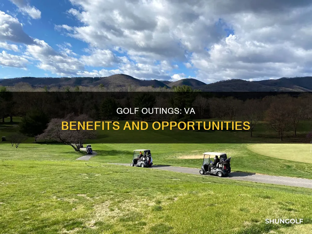 does the va have golf outings