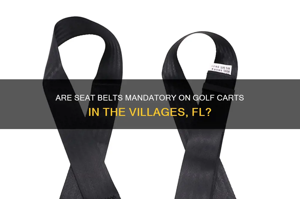 does the villages fl require seat belts on golf carts