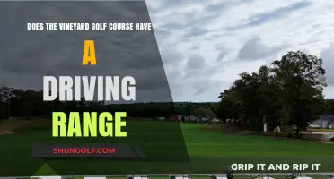 Vineyard Golf Course Driving Range: Availability and Features Explained