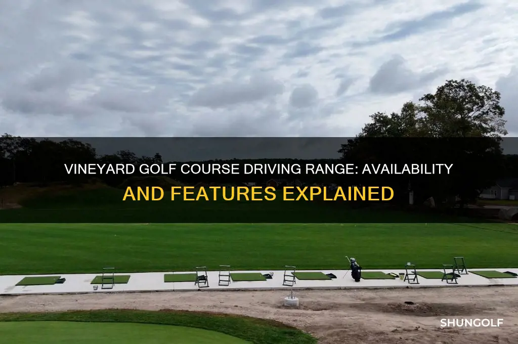 does the vineyard golf course have a driving range