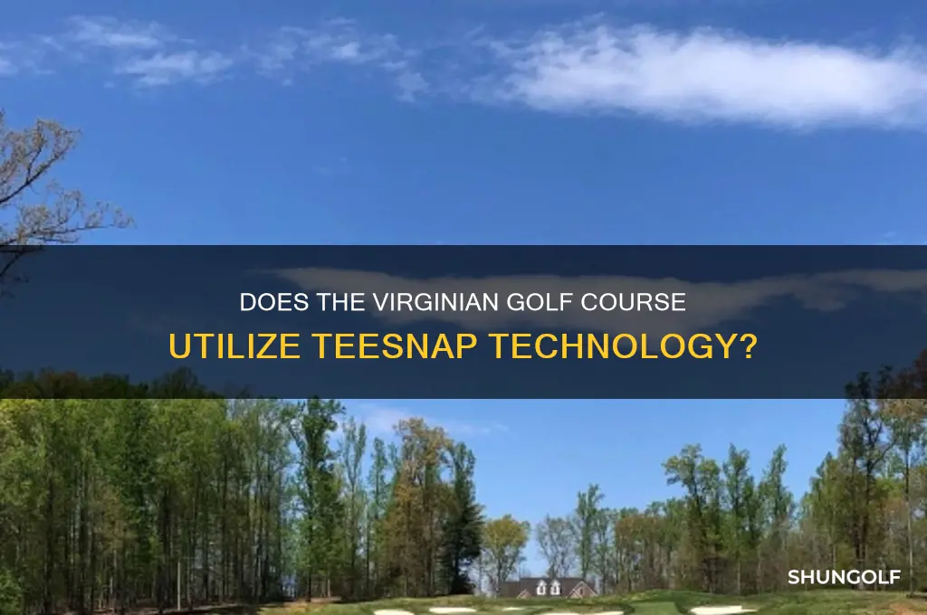 does the virginian golf course use teesnap