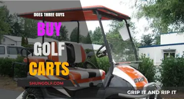 Exploring Three Guys' Golf Cart Purchases: Fact or Fiction?