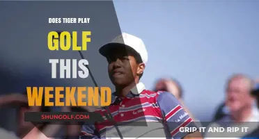 Tiger's Weekend Golf Plans: Will He Tee Off This Weekend?