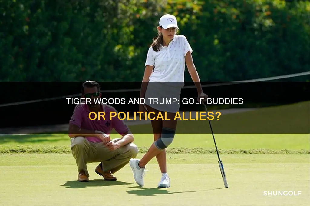 does tiger play golf with trump