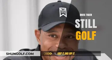 Tiger's Golf Game: What's Next?