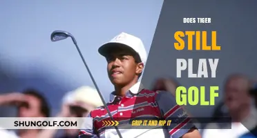 Tiger Woods' Golf Career: Active or Retired? The Latest Update
