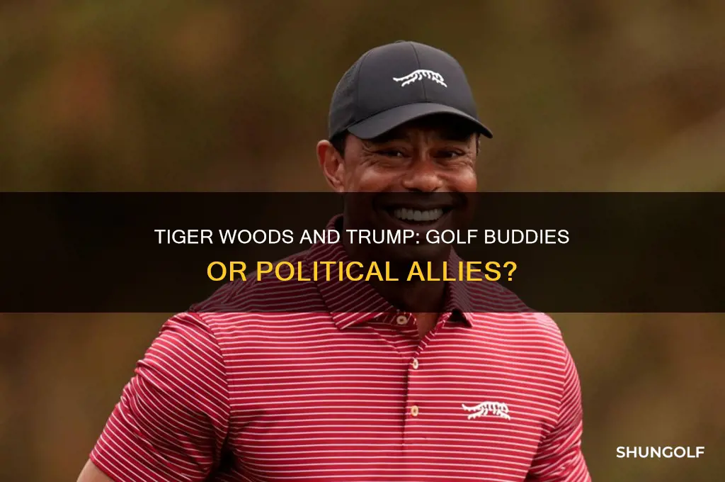 does tiger woods golf with trump