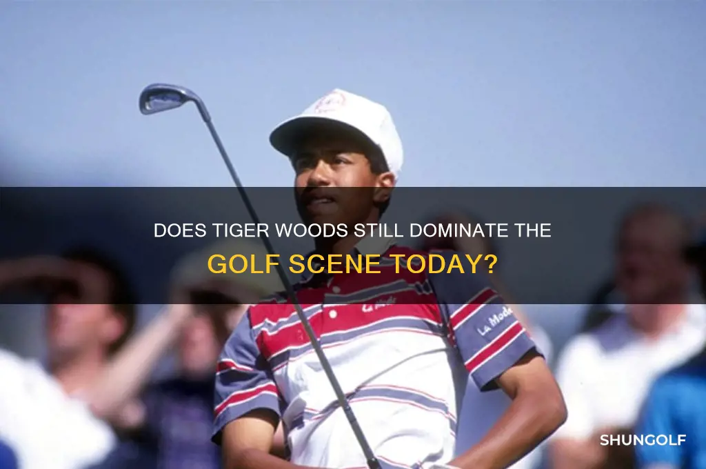 does tiger woods play golf