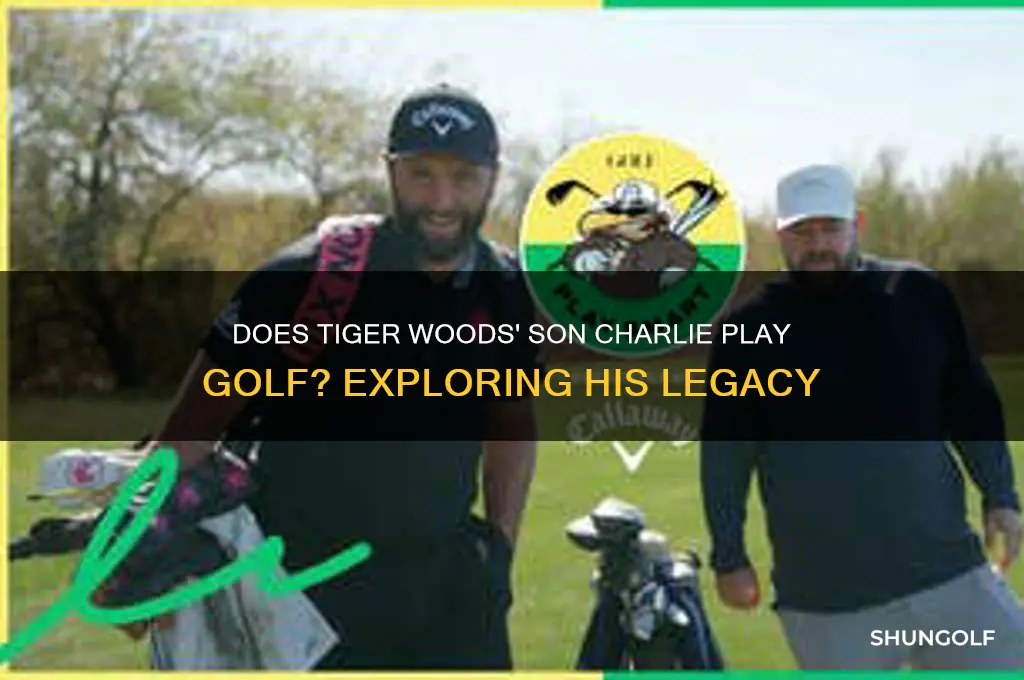 does tiger woods son charlie play golf