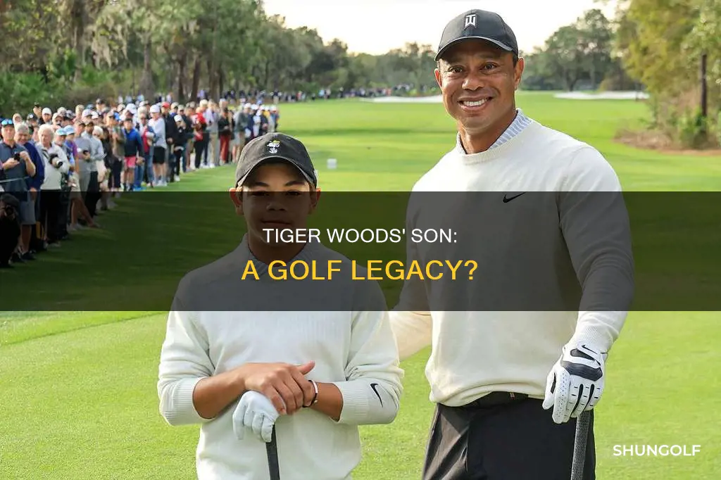 does tiger woods son golf