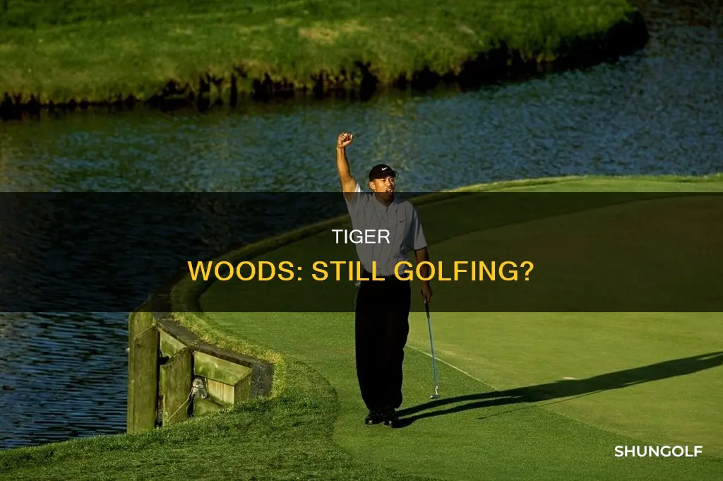 does tiger woods still golf