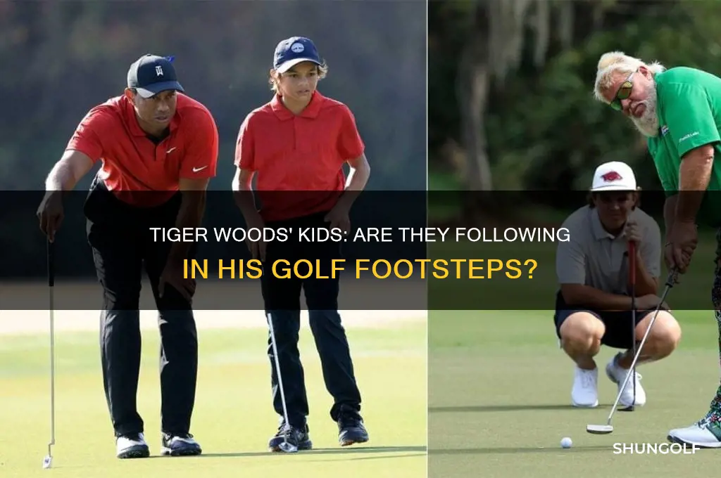 does tigers kids play golf