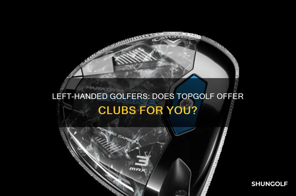 does top golf have left handed clubs
