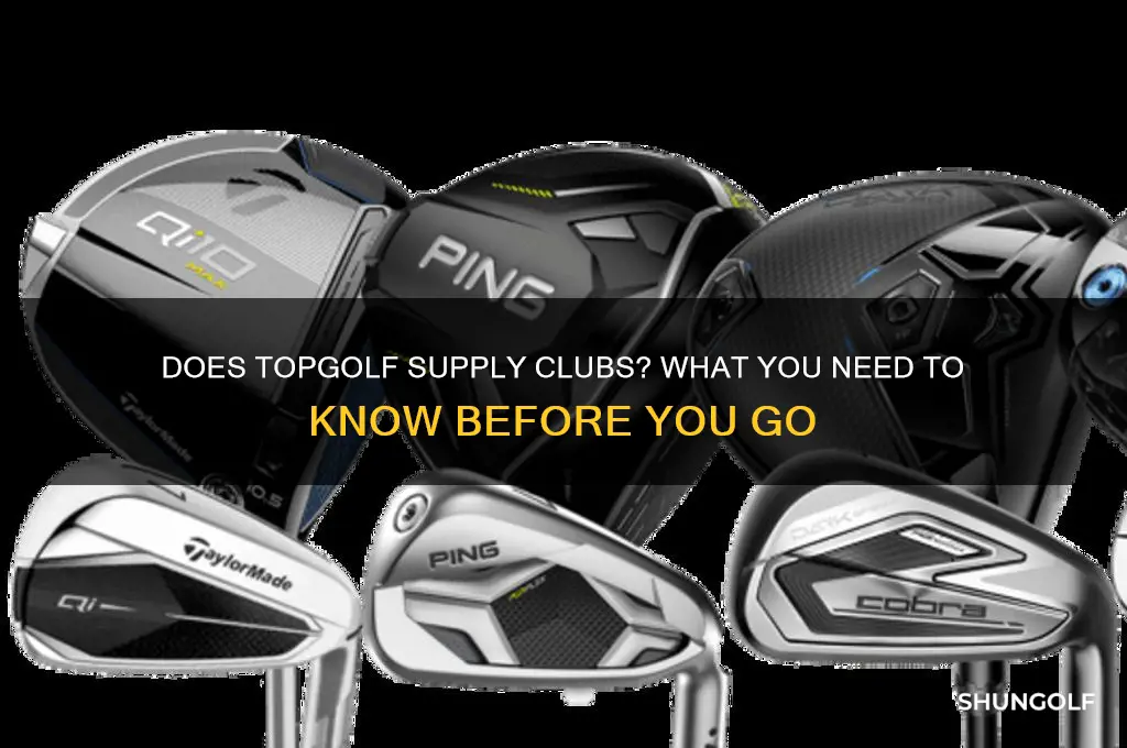 does top golf supply clubs