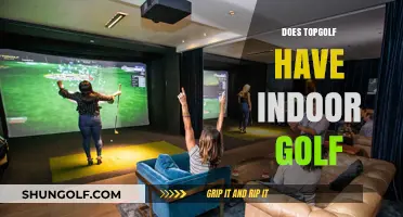 Topgolf's Indoor Golf: Is It Worth the Hype?