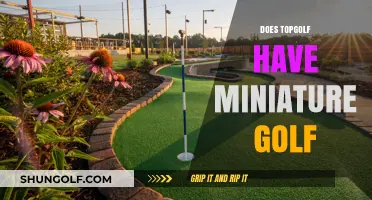 Topgolf: Mini Golf or Not?