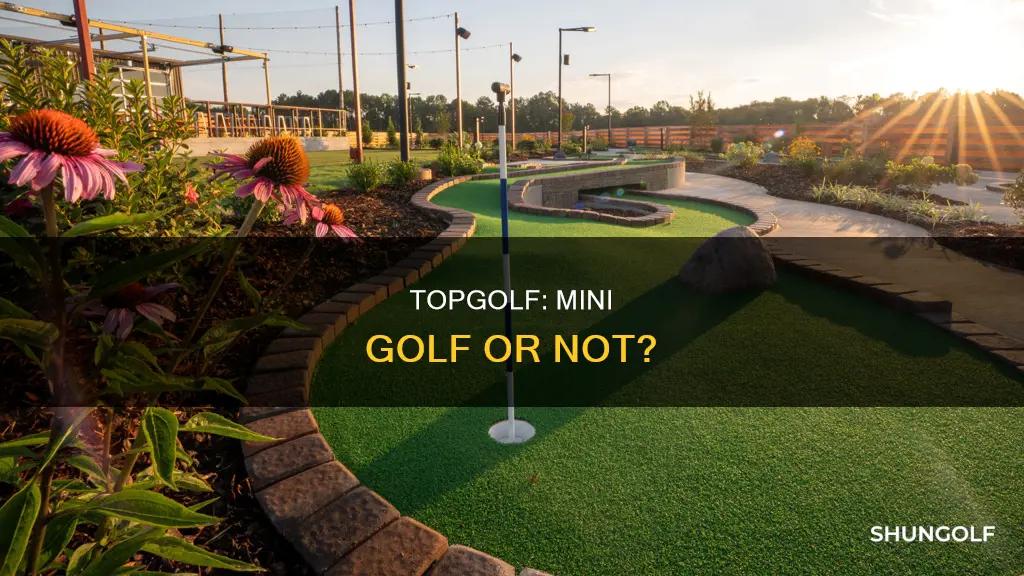 does topgolf have miniature golf