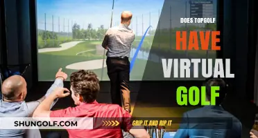 Virtual Golf at Topgolf: What's the Deal?