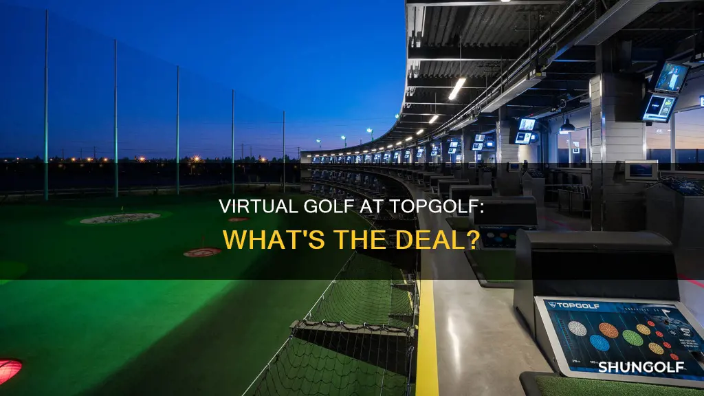 does topgolf have virtual golf