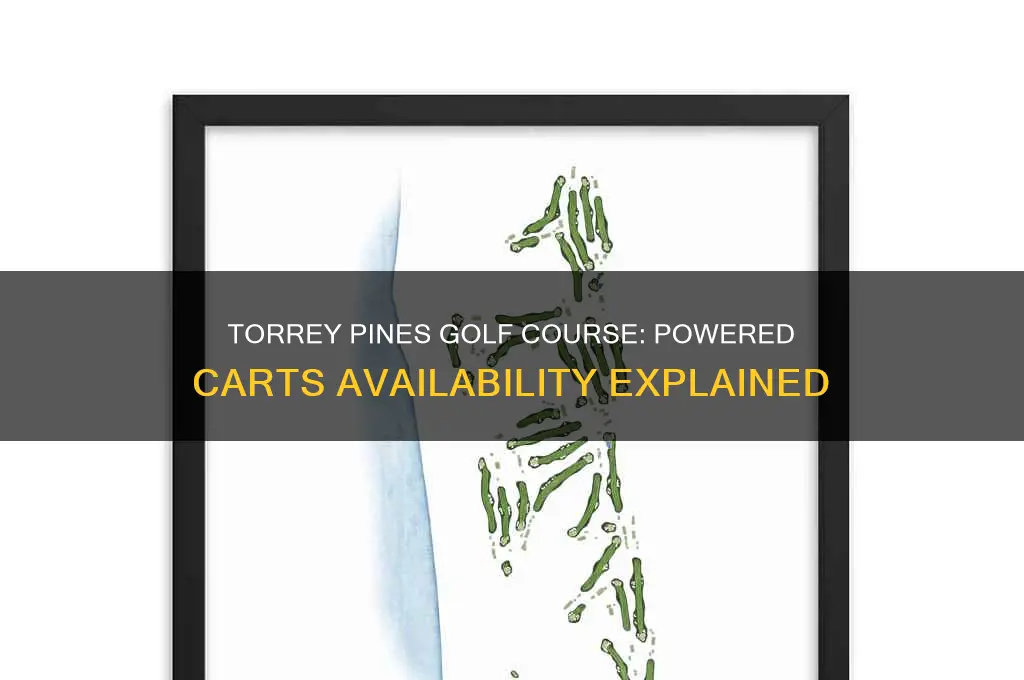 does torrey pines golf course have powered carts