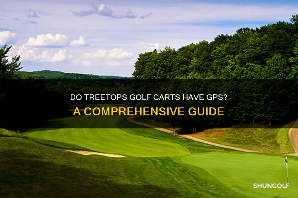 does treetops golf carts have gps