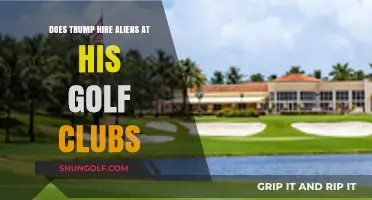 Trump's Golf Clubs: Allegations of Hiring Undocumented Workers Explored