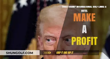 Is Trump International Golf Links & Hotel Profitable? A Financial Analysis