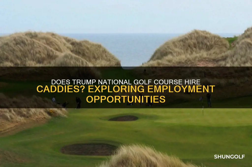 does trump national golf course hire caddies