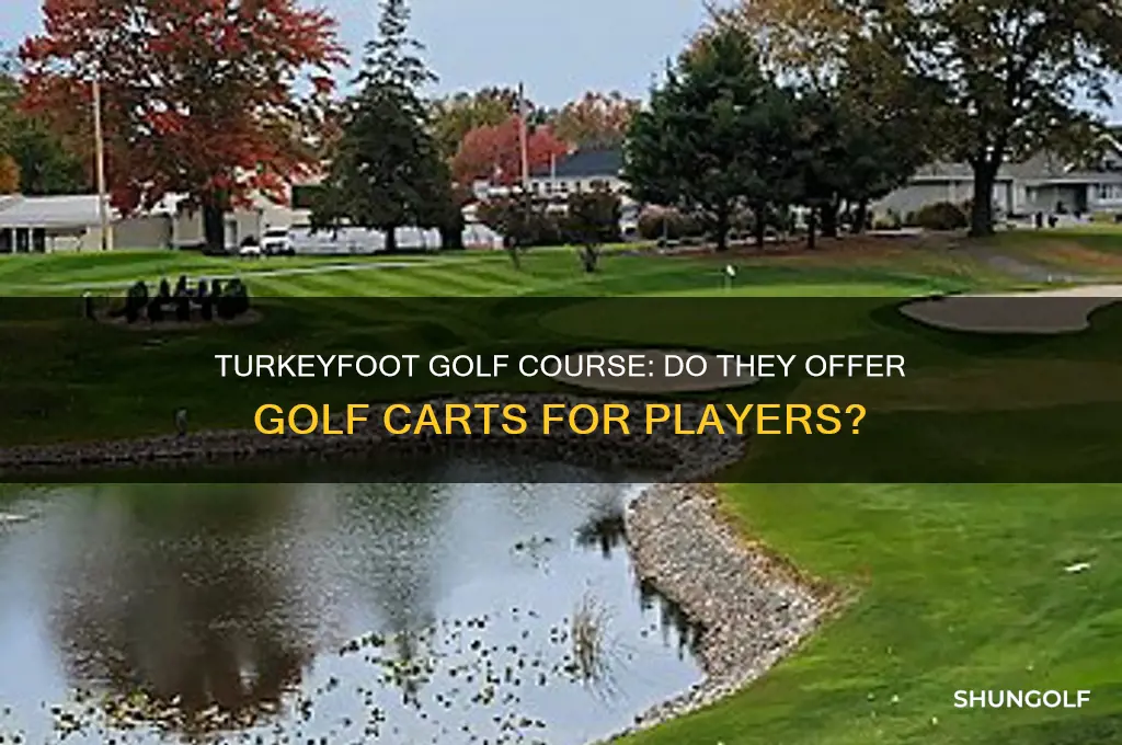 does turkeyfoot golf course have gos carts