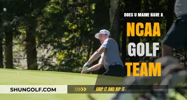 Does the University of Maine Have an NCAA Golf Team?