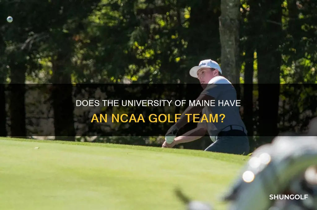 does u maine have a ncaa golf team