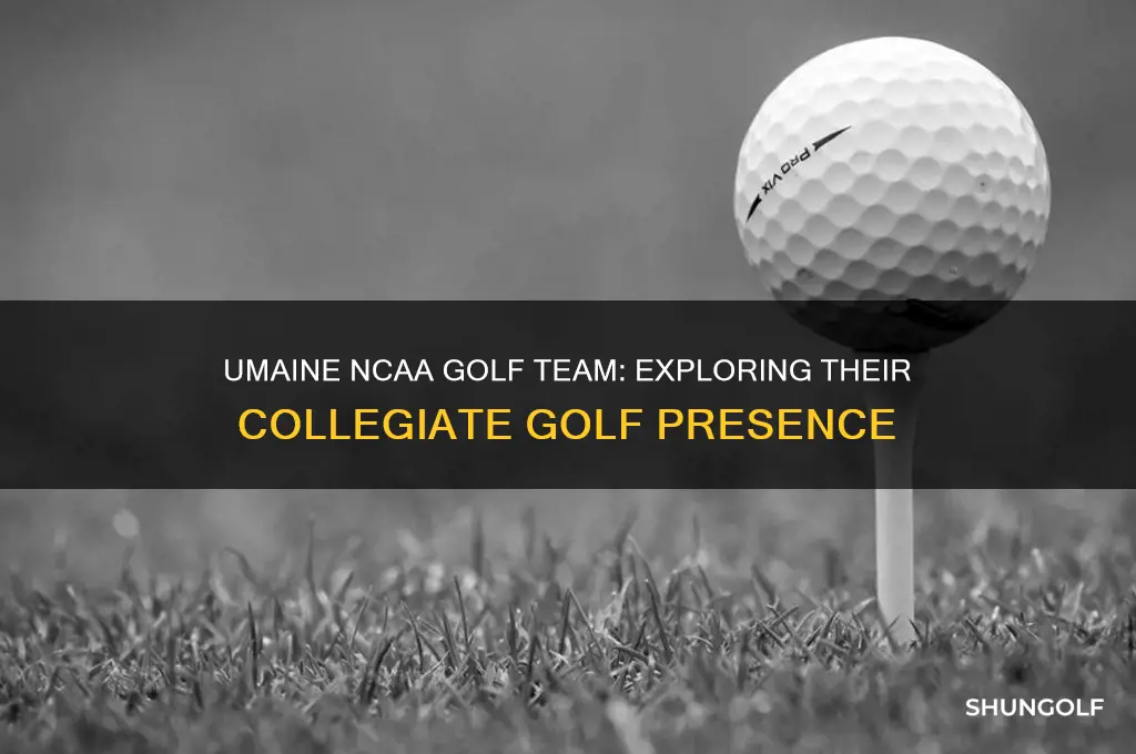 does umaine have a ncaa golf team