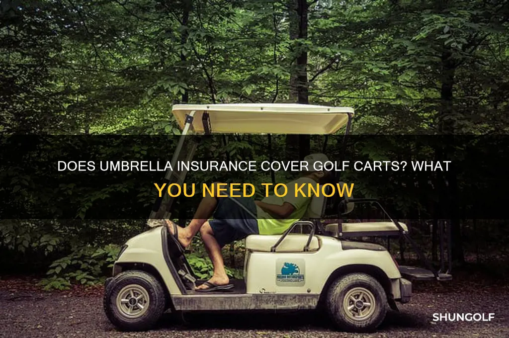 does umbrella insurance cover golf carts