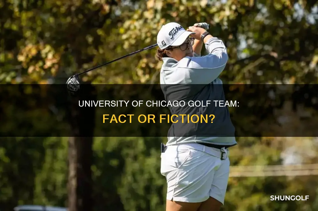 does university of chicago have a golf team