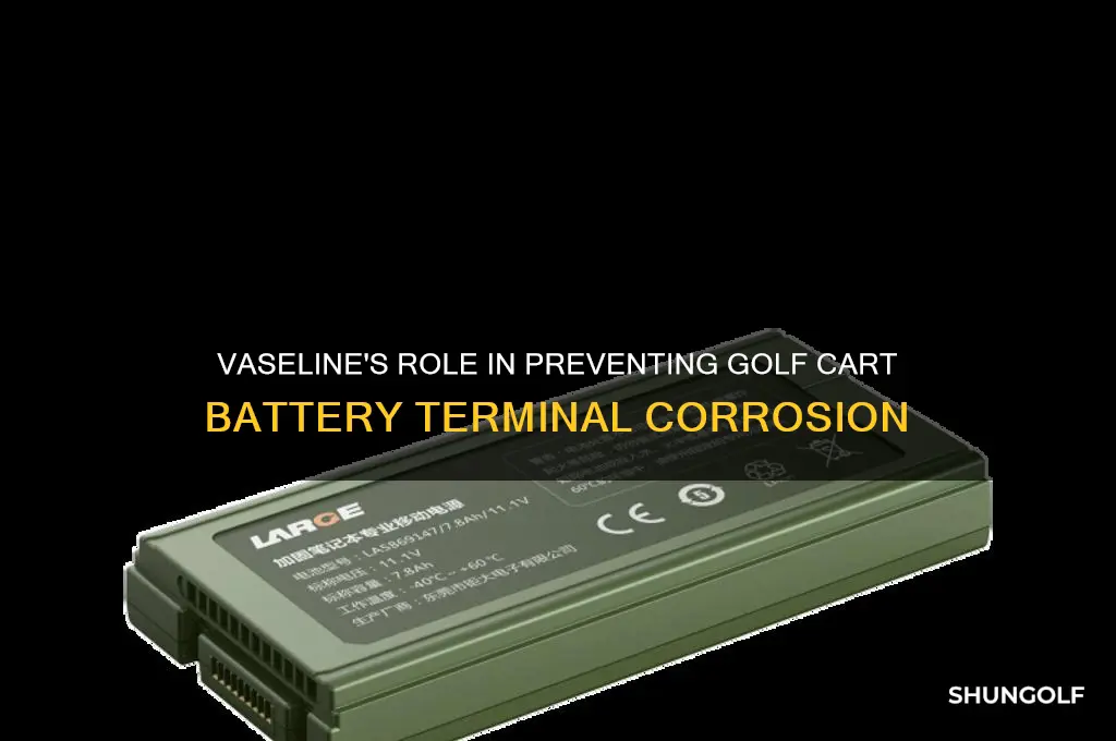 does vaseline help prevent golf cart battery terminal corrosion