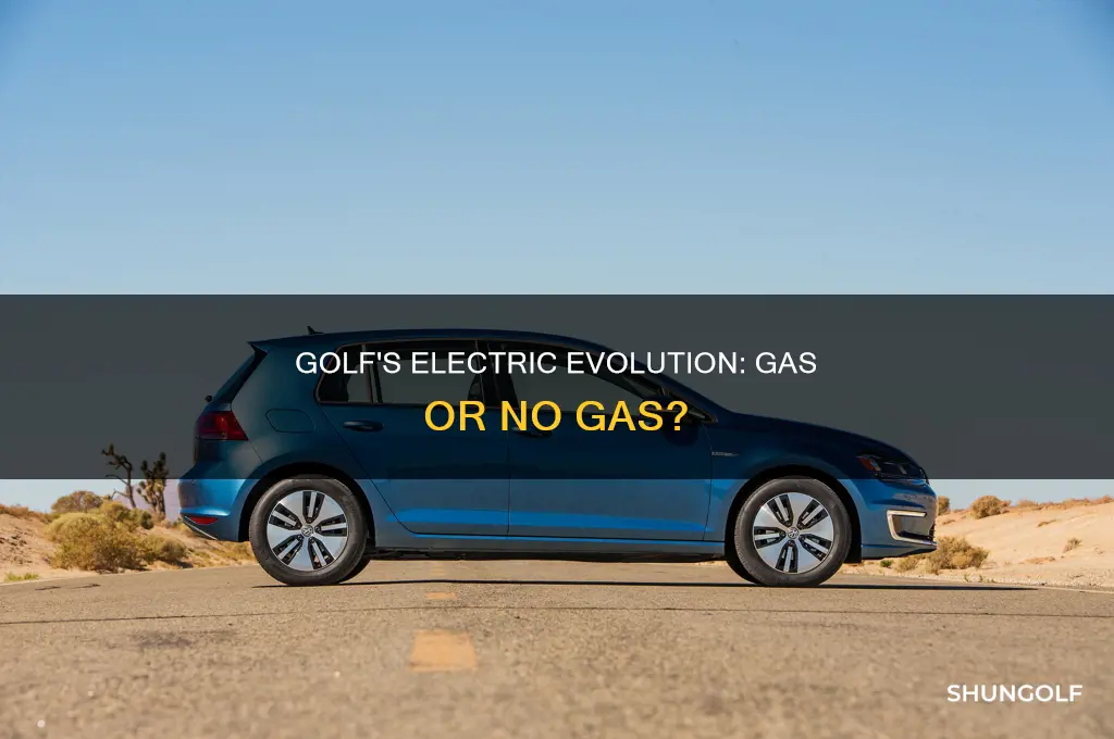does volkswagen e golf take gas