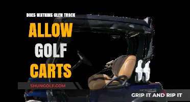 Can Golf Carts Be Used at Watkins Glen Track?