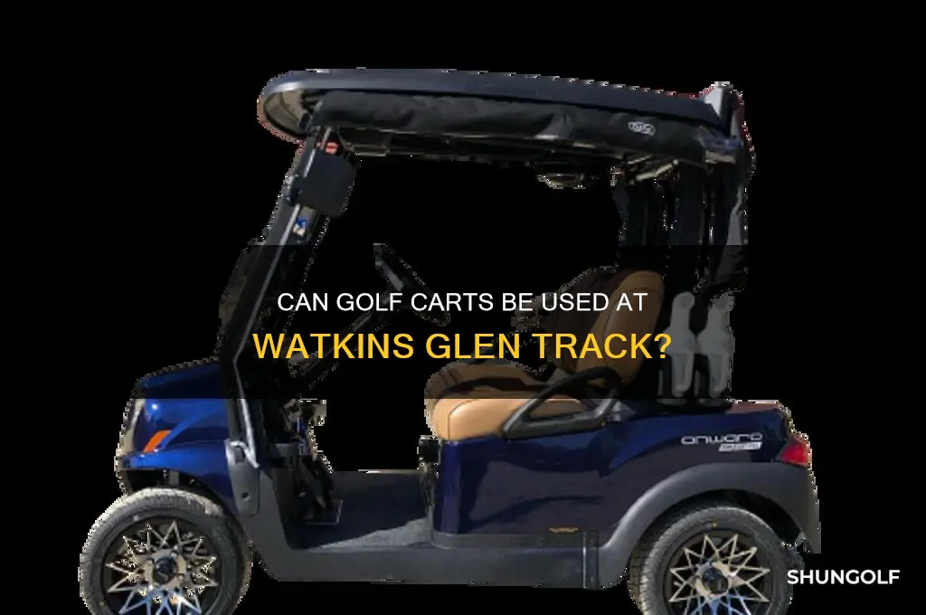 does watkins glen track allow golf carts