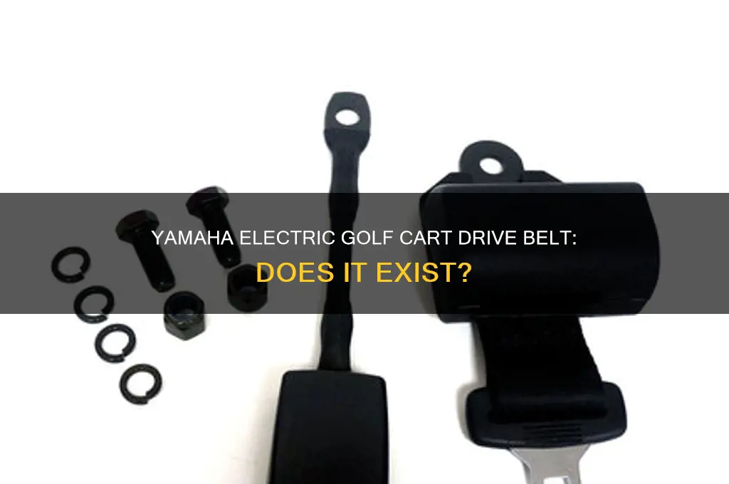 does yamaha electric golf cart have a drive belt