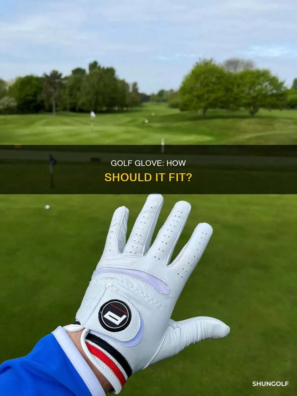 does your golf glove fit