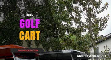 Don's Golf Cart: A Unique Ride on the Green