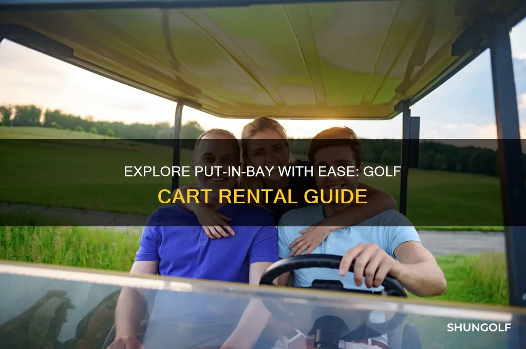 es golf cart rental put in bay