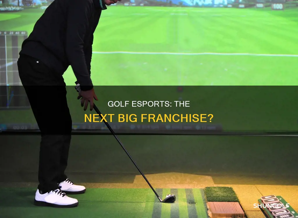 es sports golf franchise